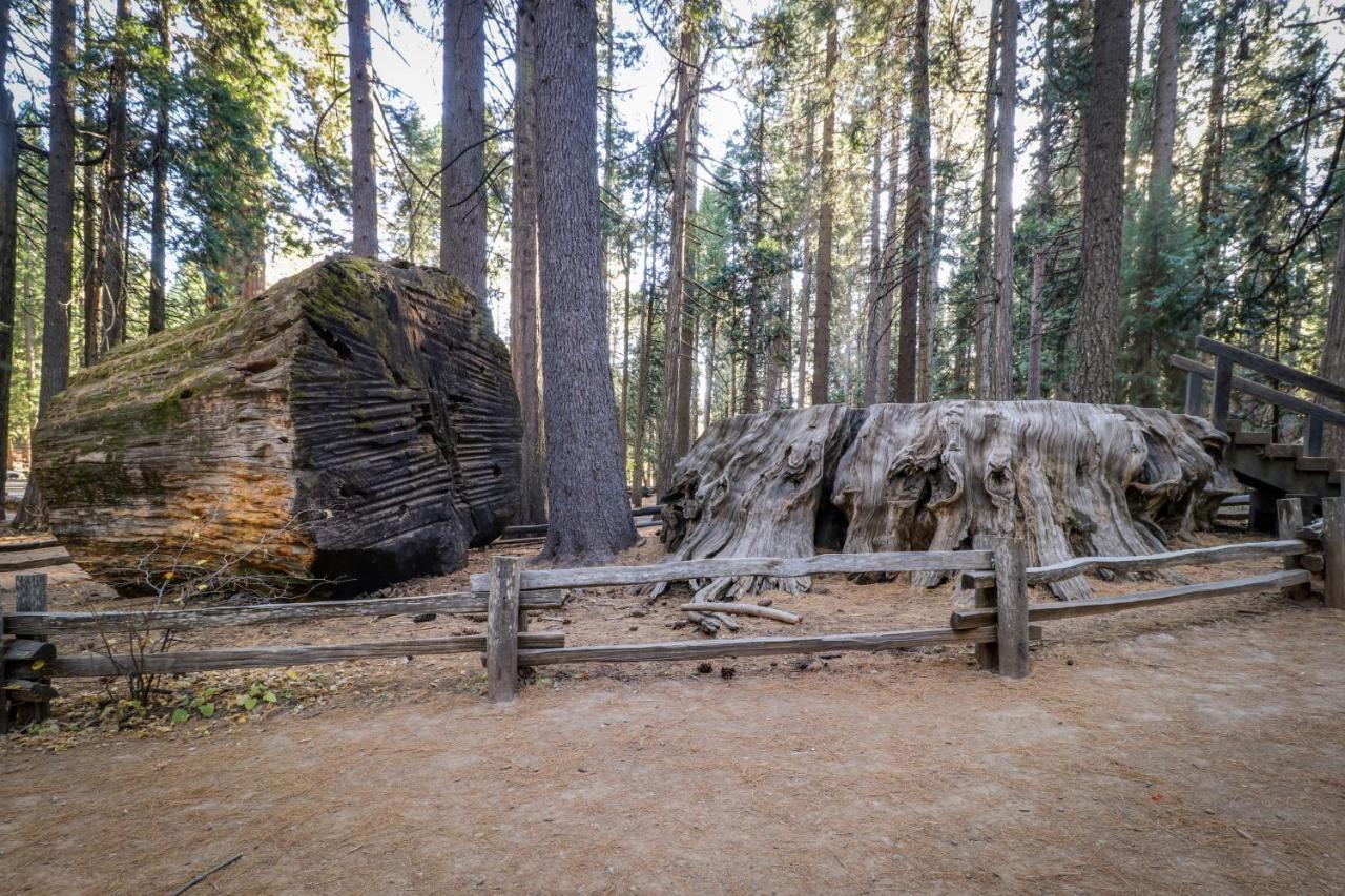 Willa Hikers Haven Arnold Zewnętrze zdjęcie