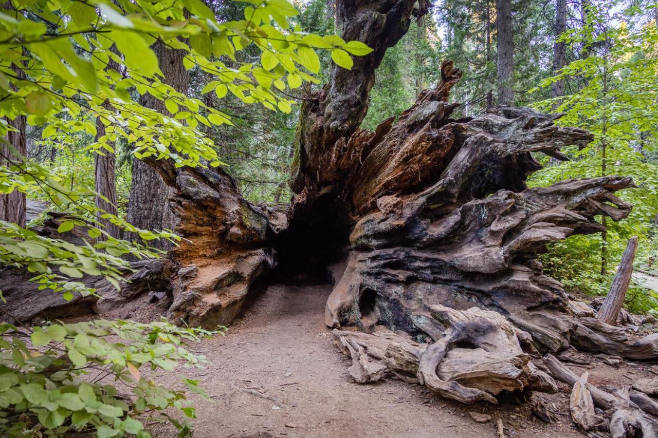 Willa Hikers Haven Arnold Zewnętrze zdjęcie